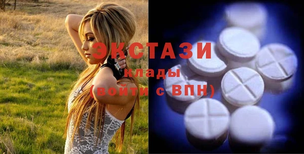 ECSTASY Горняк